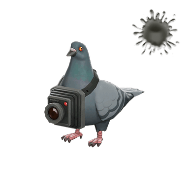 Bird's Eye Viewer