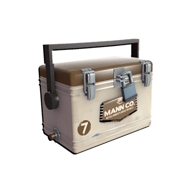 Brown Summer 2013 Cooler #68