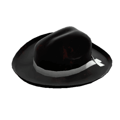 Buckaroo's Hat