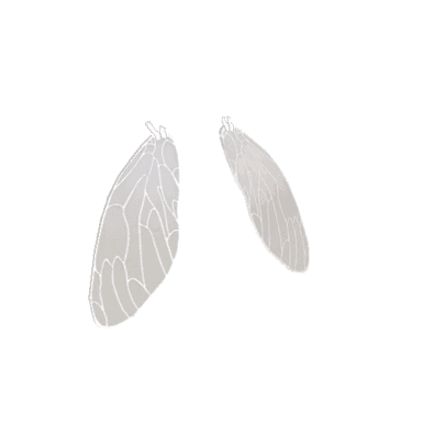 Haunted Frontier Flyboy