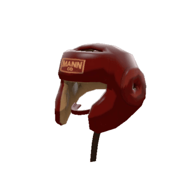 Pugilist's Protector