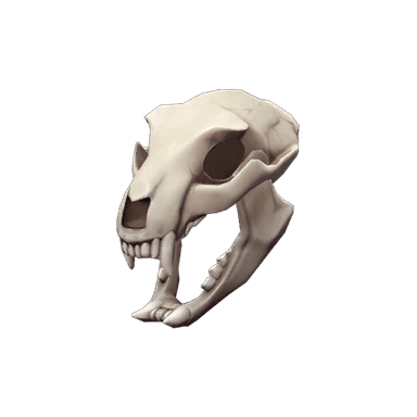 Strange Bare Bear Bones