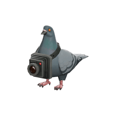 Strange Bird's Eye Viewer