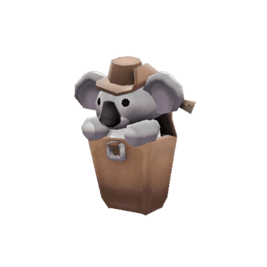 Strange Koala Compact