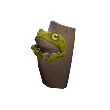 Strange Tropical Toad