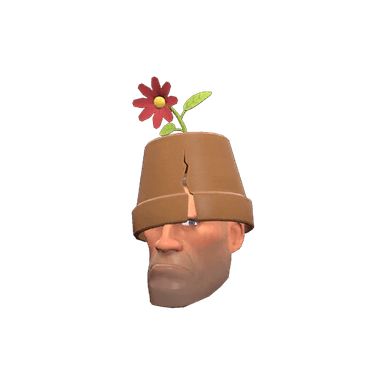 The Crack Pot