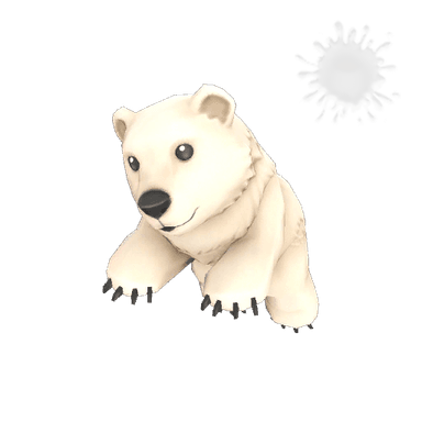 The Polar Pal
