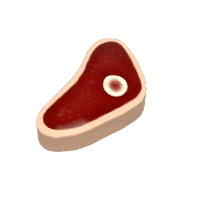 Vintage Buffalo Steak Sandvich