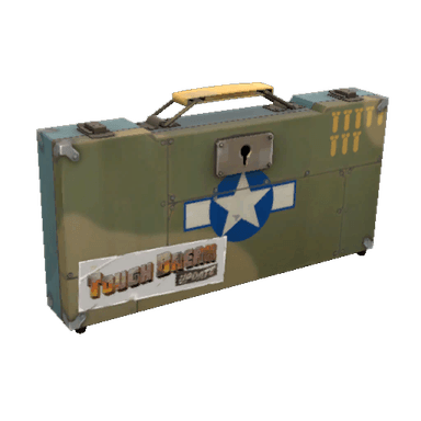 Warbird Weapons Case #100
